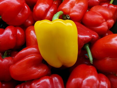 Yellow bell peppers in red bell peppers in a supermarketの写真素材