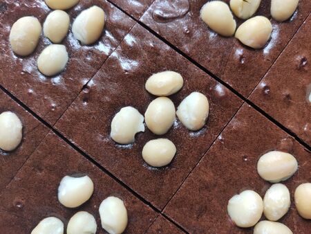 Macadamia Brownies are divided into pieces ready to serve.の写真素材