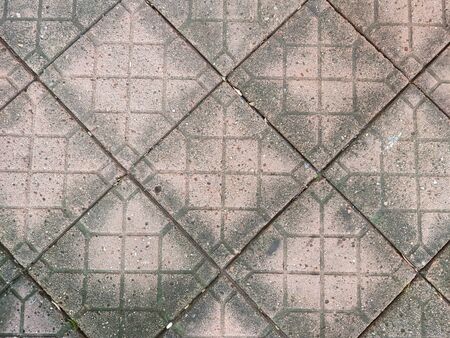 Footpath pattern in the garden.の写真素材