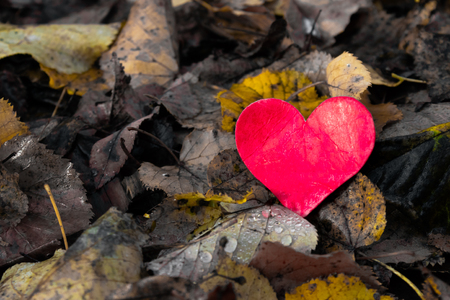Valentines Day background with heart and old yellow autumn leaves with copy space loveの写真素材