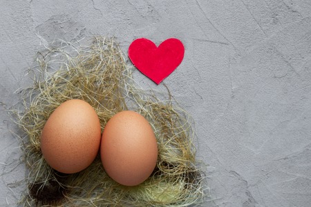 Two fresh eggs in nest with one red loving paper heart on gray textural background with egg's shadow Valentines day concept with copy spaceの写真素材