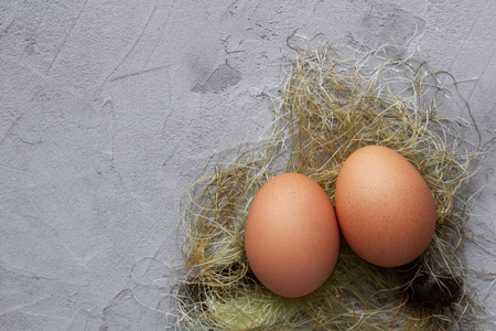 Two fresh eggs in nest on gray textural background with copy spaceの写真素材