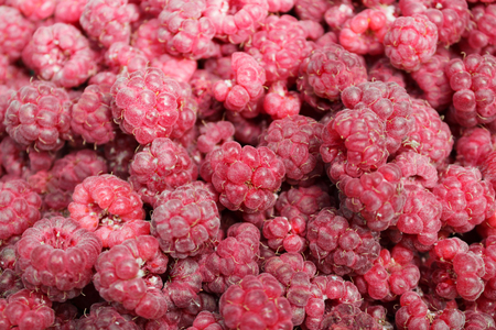 A lot of a tasty juicy ripe fresh raspberry horizontal frame
