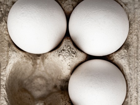 Chicken white eggs in carton box