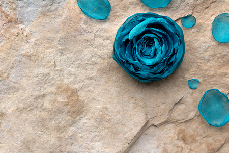 Handmade blue bud on background of stone texture with petals, spa concept, Copyspaceの写真素材