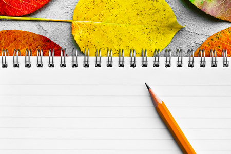 Blank notepad with pencil and with autumn leaves. Space for text.. Creative flat lay leavesの写真素材