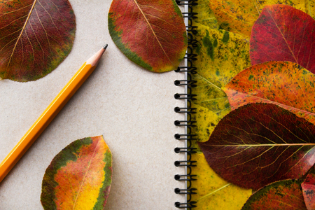 School notepad with pencil and with autumn leaves. Concept back to school and end of holidays. Creative flat lay leavesの写真素材