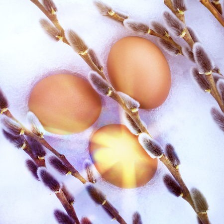 Easter card, eggs on sprigs of gray willow on the snow, pastel spring hues, rays of stars, radiance. view from aboveの写真素材