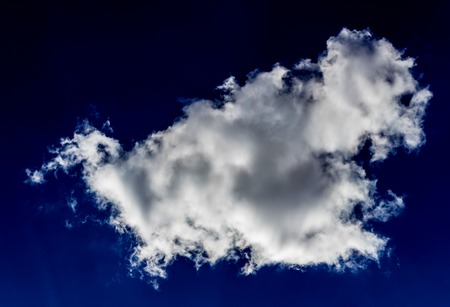 luminous white cloud in the shape of an animal bison, bull or a dog against the background of a lush blue sky, sun rays, daylight, natural skyの写真素材