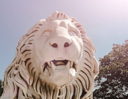 white sculpture close-up of a lion's head with open maw with fangs and mane in the sunlight against the blue skyの写真素材