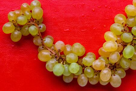 bunch of grapes isolated on bright orange background with drops of water, bunch of ripe green and yellow grapes without foliage, concept of autumn harvest, Halloweenの写真素材