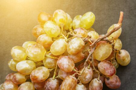 delicious ripe bunch of grapes in sun glare on gray fabric background , concept of autumn harvestの写真素材