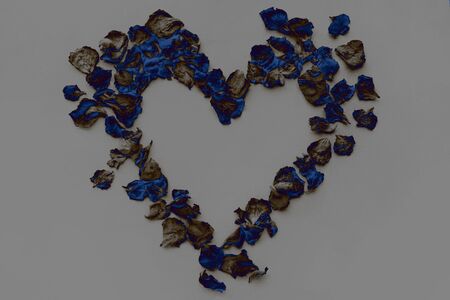 heart of dry rose petals toned in classic blue isolated on gray background, concept of Valentines Dayの写真素材