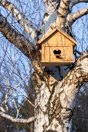Birdhouse with heart shaped opening on birch tree in sunny spring day, blue sky backgroundの写真素材