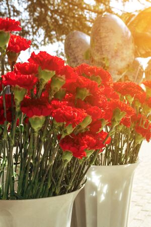 Bouquet of red carnations in a plastic vase with sunshine. Sale on the street during the May 9 holiday of Russia with sunshine. Greeting card for the Victory Day on May 9, vertical frame. Dianthus caryophyllusの写真素材