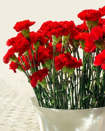 Bouquet of red carnations in a plastic vase with sunshine. Sale on the street during the May 9 holiday of Russia with sunshine. Greeting card for the Victory Day on May 9, vertical frame. Dianthus caryophyllusの写真素材