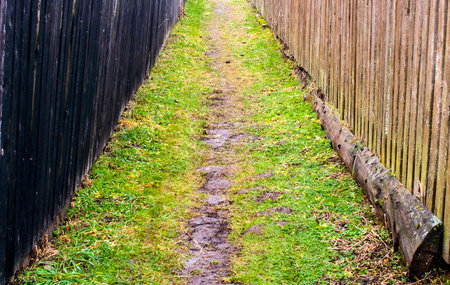 Green path between two fences in the villageの写真素材