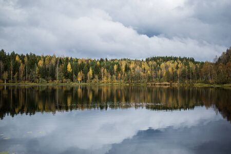 Forest of yellow autumn trees and grey clouds reflecting in calm lakeの写真素材