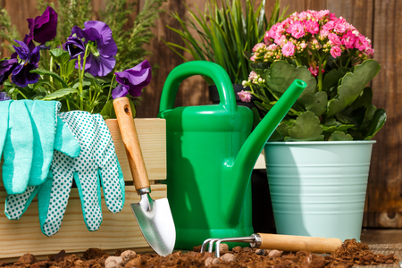 Gardening tools and flowersの写真素材