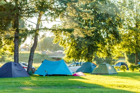 Tents Camping area in beautiful natural place with trees and green grass