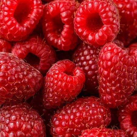 Close up photo of fresh raspberry