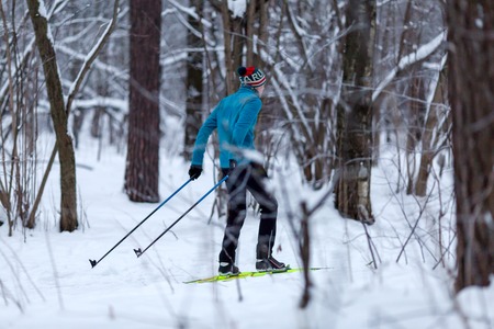 Photo from back of male skier in forest in winterの写真素材
