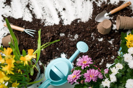 Photo on top of table with soil, plantsの写真素材