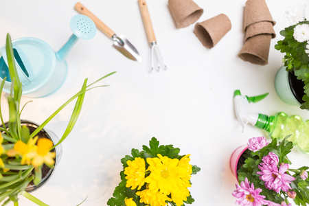 Photo of flowers in pots, watering cans, shovel, rake on empty white background.の写真素材