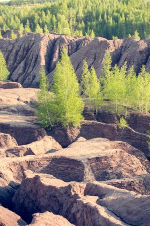 Image of mountains with green birches