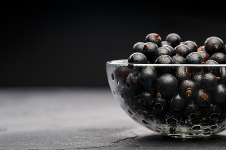 Photo of black currant in glass transparent cupの写真素材