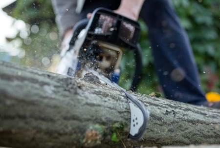 Photo of man with chainsaw sawing log in forestの写真素材