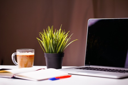 White desk with notebook, blank notebook, green flower and cup of coffee.