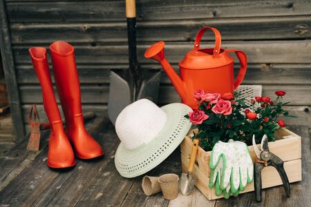 Shovel, watering can, hat, rubber boots, box of flowers, gloves and garden toolsの写真素材