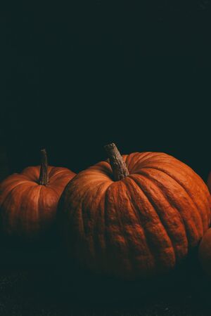 Photo  orange pumpkins on blackの写真素材