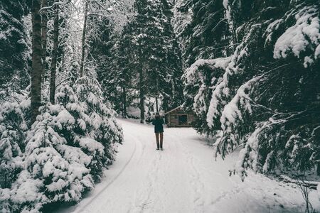 Image from afar of man tourist walking in winter forestの写真素材