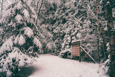 Photo of picturesque winter landscape.の写真素材