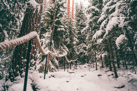 Image of a road and trees with snow.の写真素材