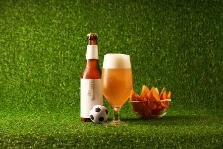 Bottle and glass of beer on the green grass background.の写真素材