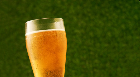 Glass of beer on the green grass background.の写真素材