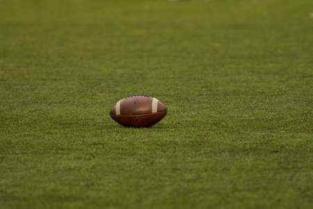 Ball for american football on green grassの写真素材