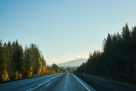 Highway through the autumn forest. Autumn forest highwayの写真素材