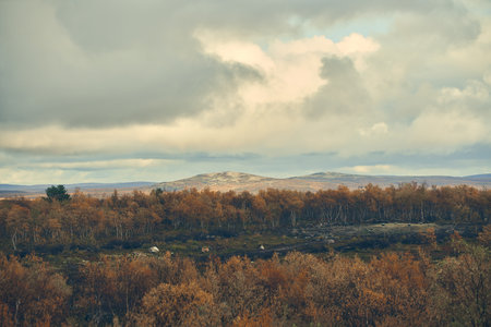 Tundra landscapes above Arctic circle in autumn season.