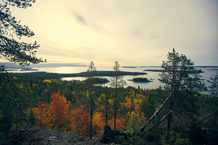 Forest lake surrounded by autumn foliage at sunset.の写真素材