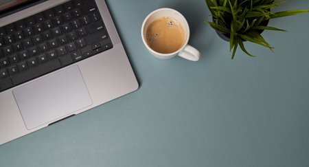 Workspace with laptop, succulent on blue background. Flat lay, top viewの写真素材