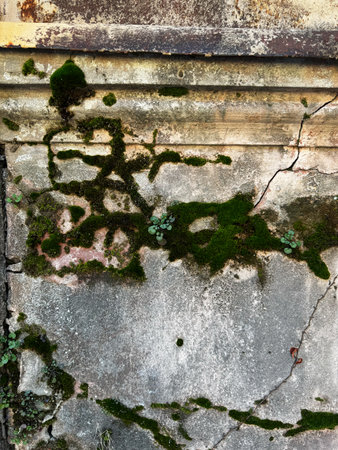 Moss and Cracks on an Aged Concrete Wallの写真素材