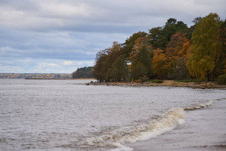 Coastal trees with autumn foliage along calm sea under cloudy sky.の写真素材