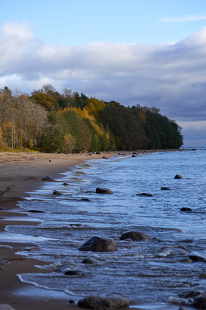 Waves hitting stones along autumn forest shoreline on calm sea.の写真素材