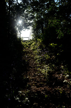 pathの写真素材