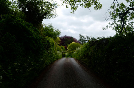 Roadの写真素材