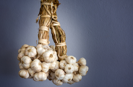 garlic,herbの写真素材